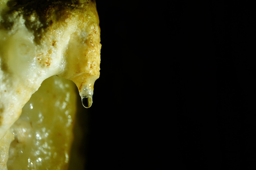 water drop in a cave bustamante Mexico 00