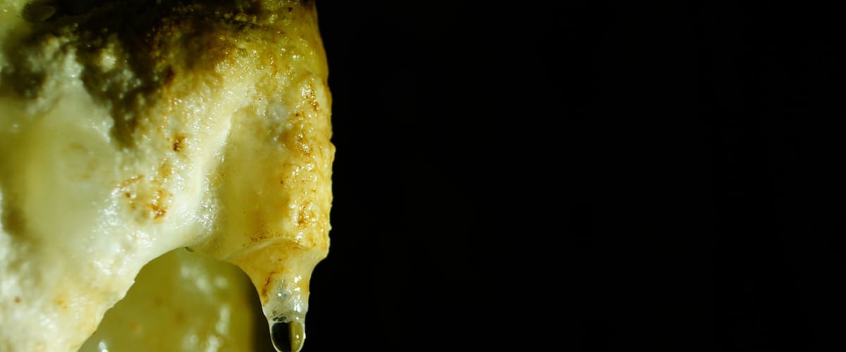 A close-up of melted cheese dripping from a dish.