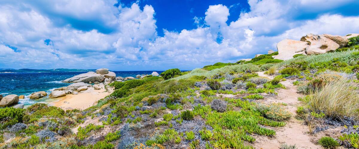 A coastal landscape with rocky outcrops, green vegetation, and a clear blue sky.