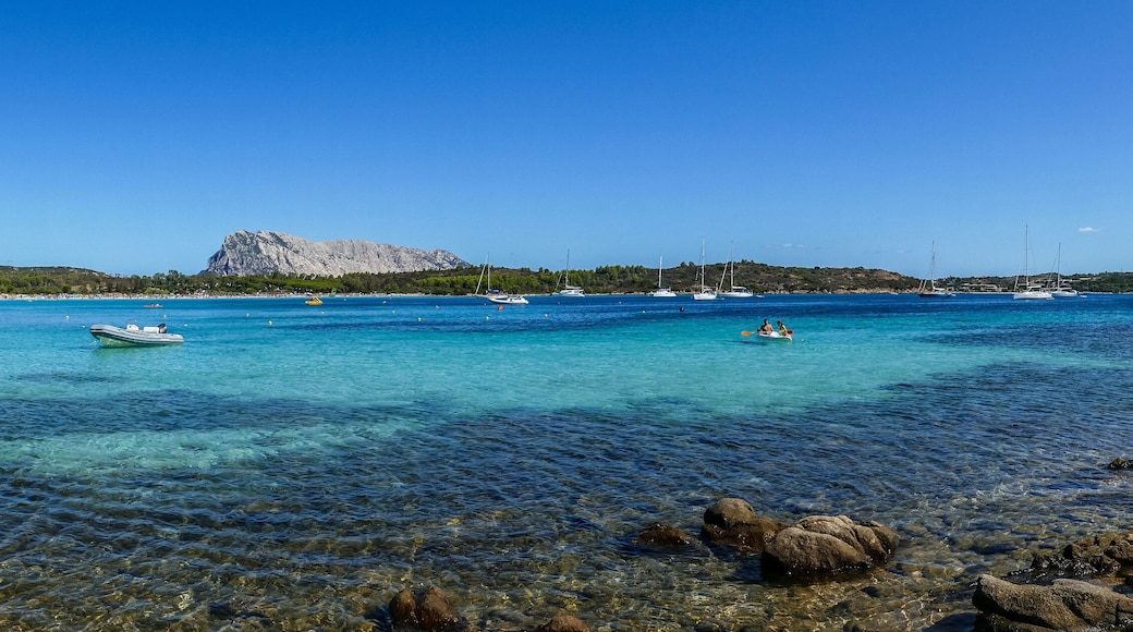 The beach of Cala Brandinchi in San Teodoro with turquoise water