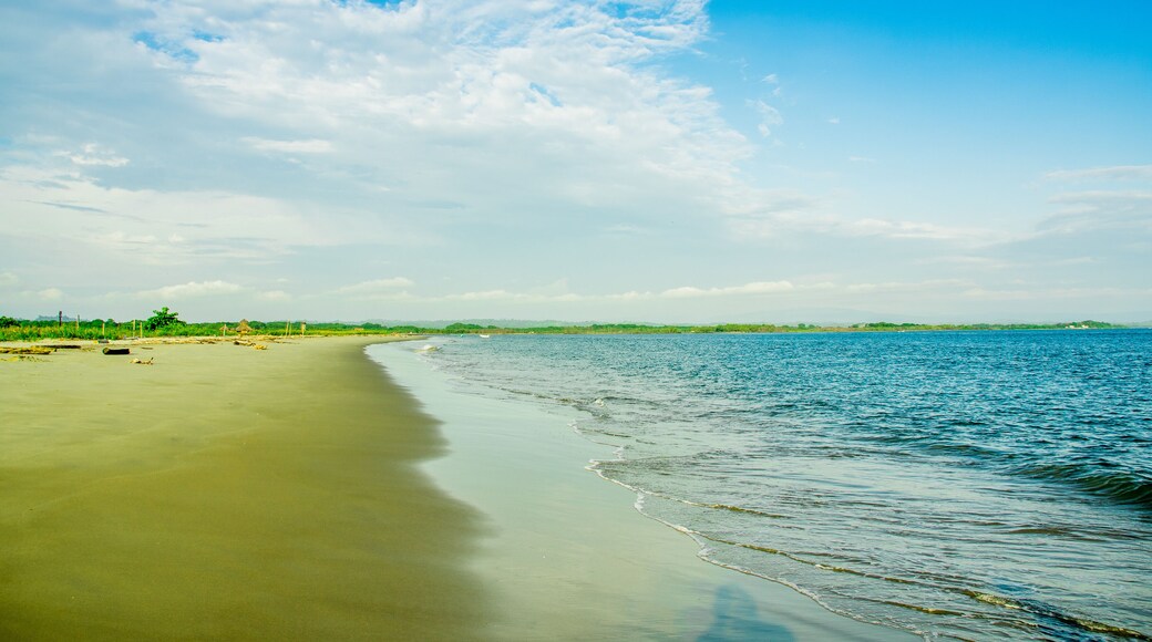 Beautiful outdoor vierw of empty tropical beach background. Horizon with sky and white sand