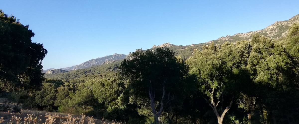 A mountainous landscape with dense forests and clear blue skies.