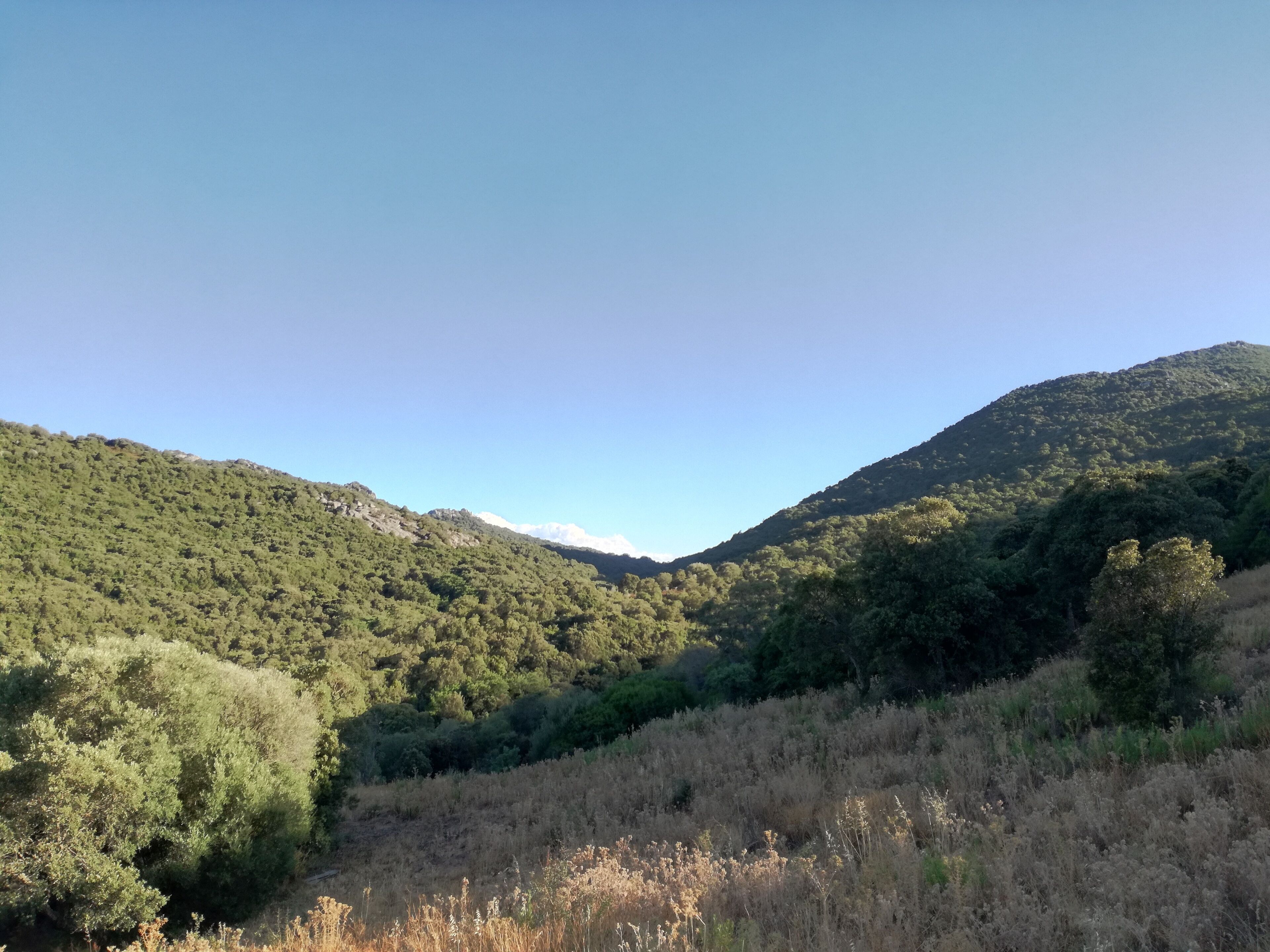 Panoramica della valle di Valentino, a Calangianus.