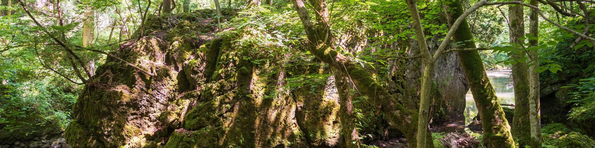 Clifton Gorge State Nature Preserve in Ohio