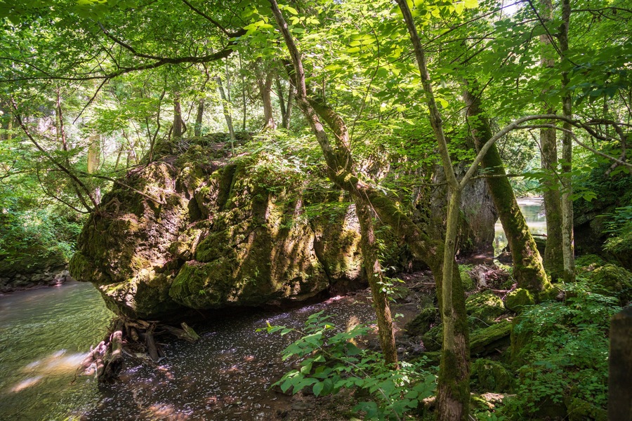 Clifton Gorge State Nature Preserve in Ohio