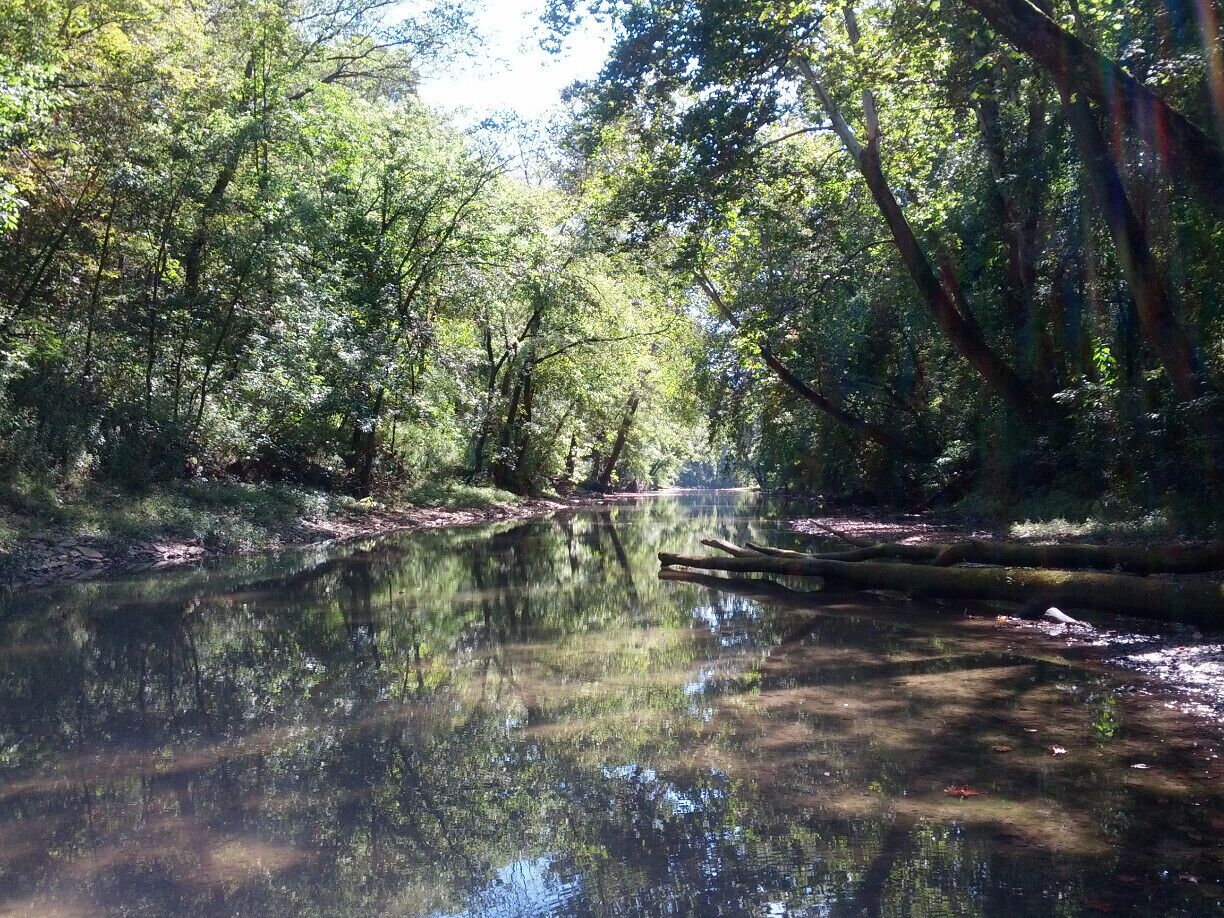 A serene shot of the perfectly still waters of the Twin Creek, its shore lined with smooth river rock. An absolutely choice spot for skipping stones. (A skill that everyone should obtain and at any given opportunity everyone should pass on.)
