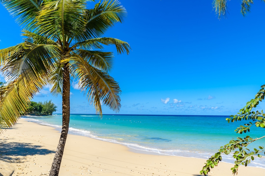 Mullins Beach - tropical beach on the Caribbean island of Barbados. It is a paradise destination with a white sand beach and turquoiuse sea.