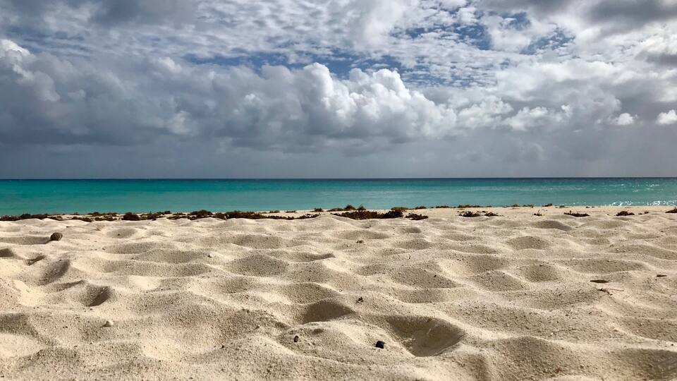 A sandy beach with footprints and seaweed, under a partly cloudy sky.