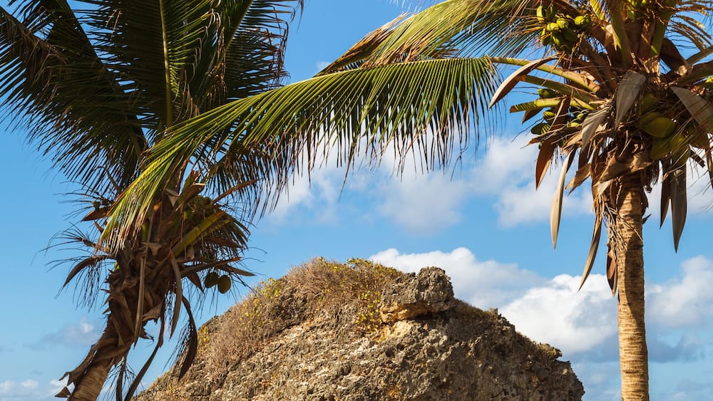 A large rock formation surrounded by palm trees and the ocean.