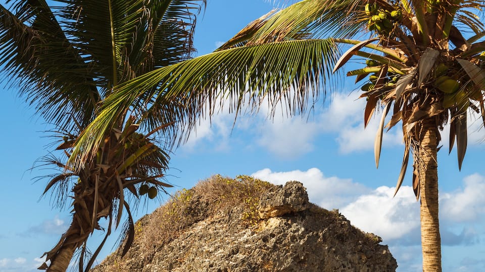 A large rock formation surrounded by palm trees and the ocean.