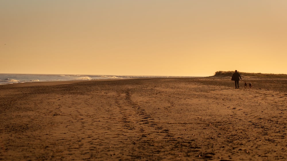 A beach with footprints leading to the water, a person walking with a dog, and a distant dune.