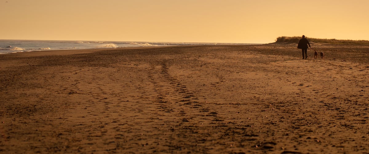 A beach with footprints leading to the water, a person walking with a dog, and a distant dune.