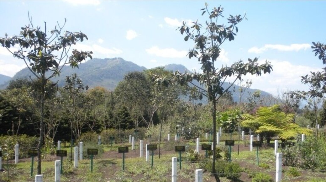 Beautiful garden and herbal plantation that stretches many acres. Also has an ostrich farm and other animals as well as educational classes and mentoring.
#localgem