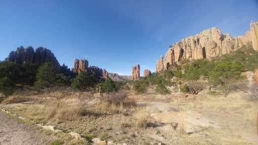 Sierra de Órganos en Zacatecas México