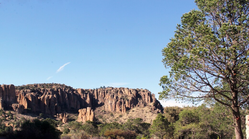 Sierra de Órganos en Sombrerete Zacatecas México