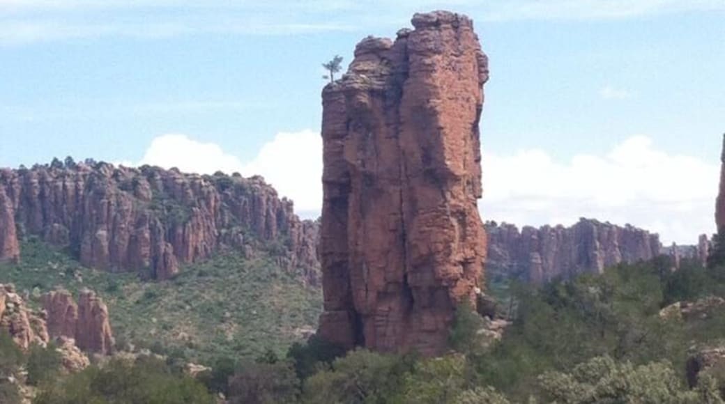 In 2014 was my first backpack travel when I finish the university, I take the option to visit de north of Mexico, a lot of people prefer visit the touristic south forget the nort. This photo is in the limits between Zacatecas and Durango