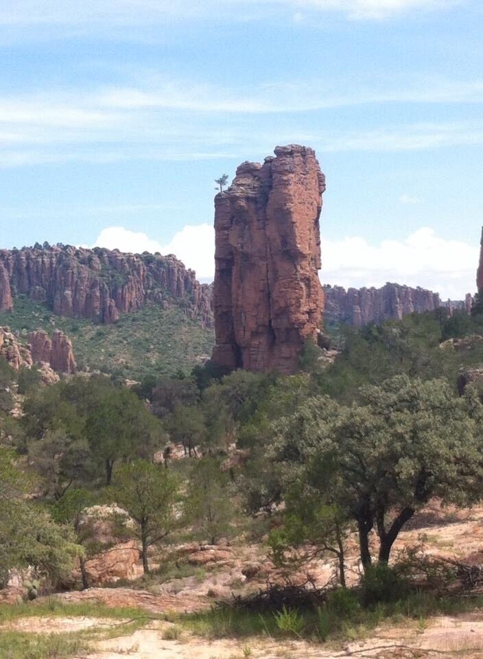 A tall red rock formation surrounded by green trees in a desert landscape.