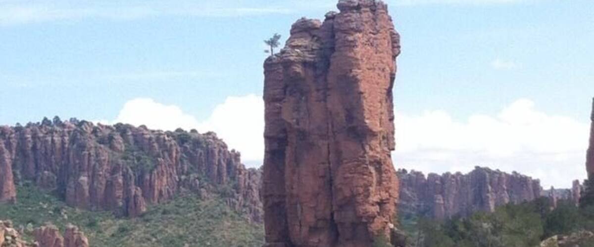 A tall red rock formation surrounded by green trees in a desert landscape.