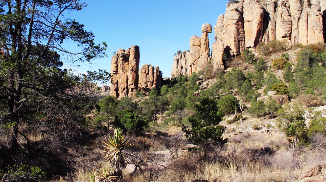 Sierra de Organos Sombrerete Zacatecas Mexico