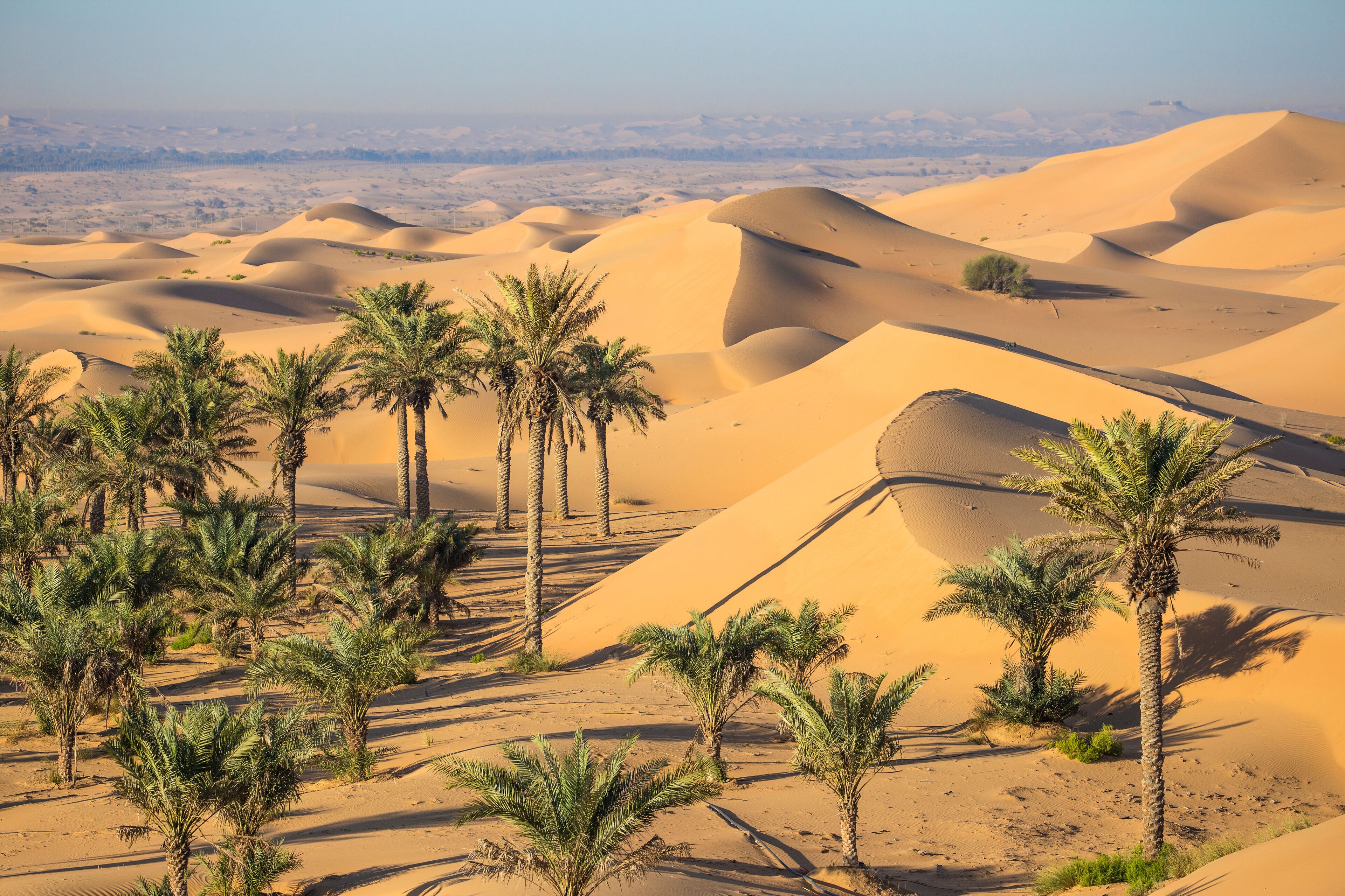 Remah Desert, Al Ain, Abu Dhabi