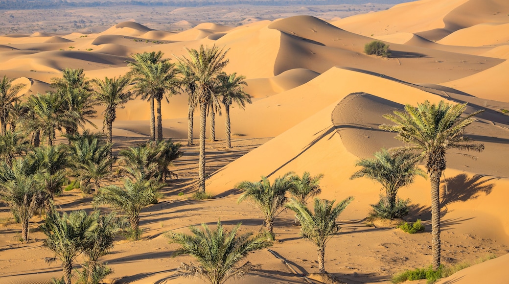 Remah Desert, Al Ain, Abu Dhabi