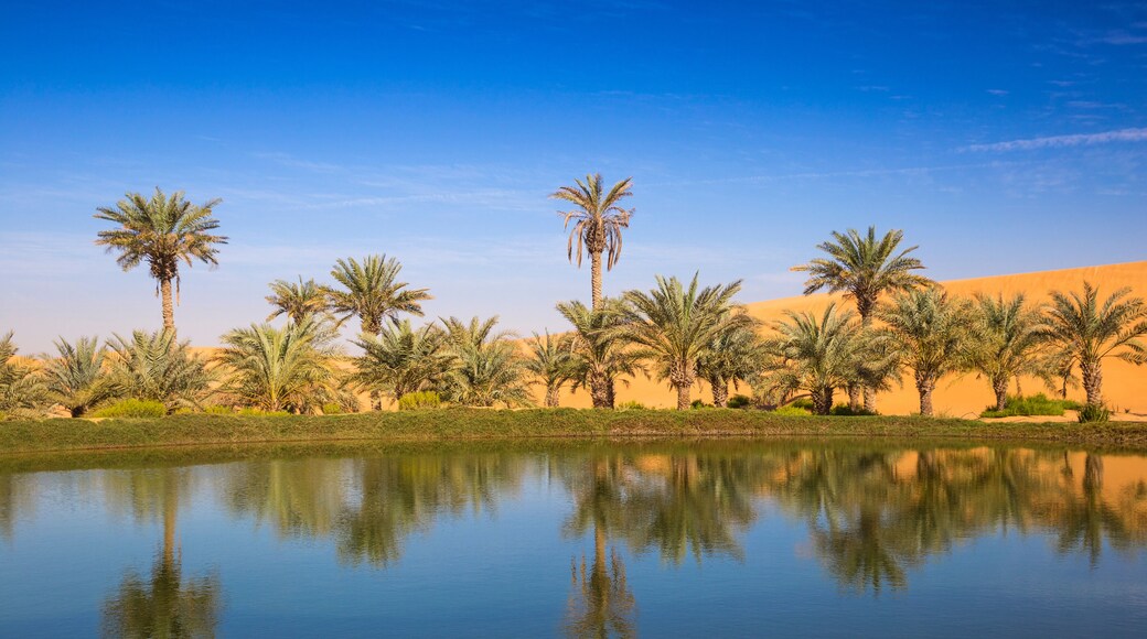 Remah Desert, Al Ain, Abu Dhabi