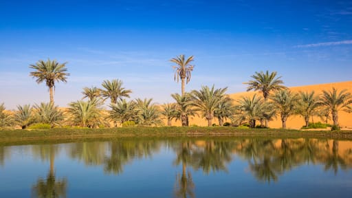 Remah Desert, Al Ain, Abu Dhabi