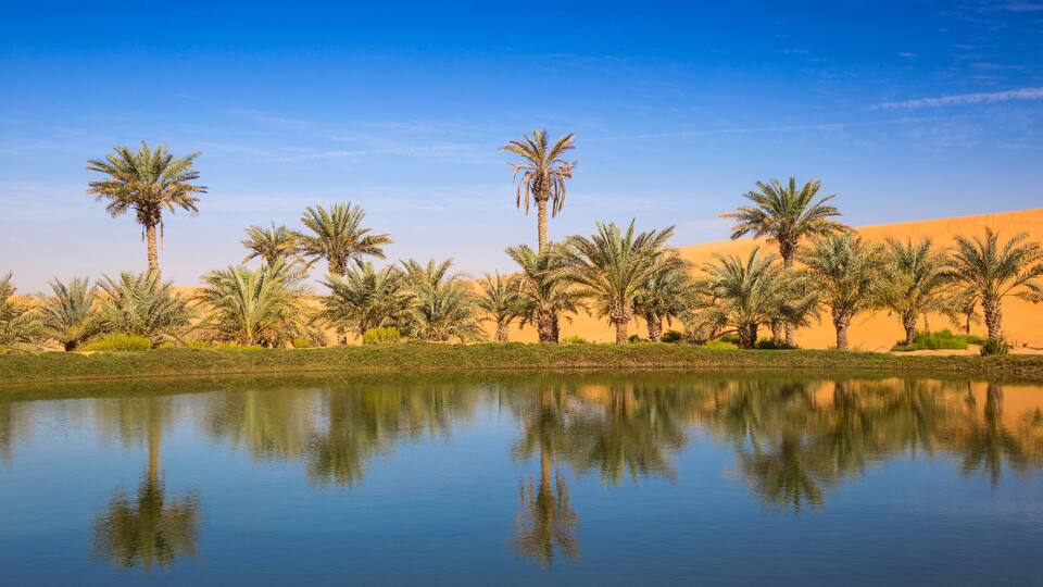 A desert landscape with palm trees and a calm body of water reflecting the trees.
