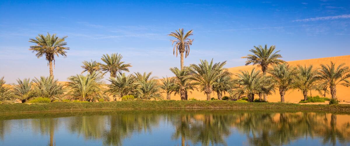 A desert landscape with palm trees and a calm body of water reflecting the trees.