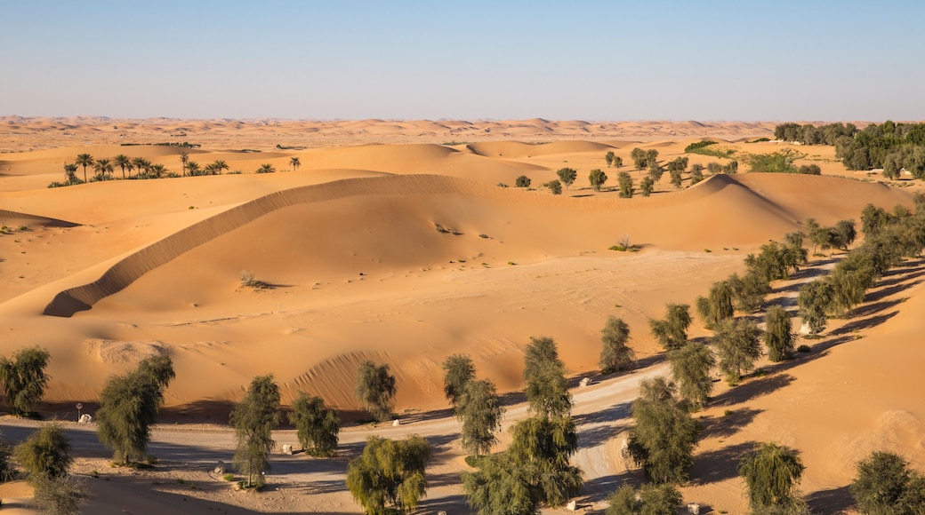 Remah Desert, Al Ain, Abu Dhabi