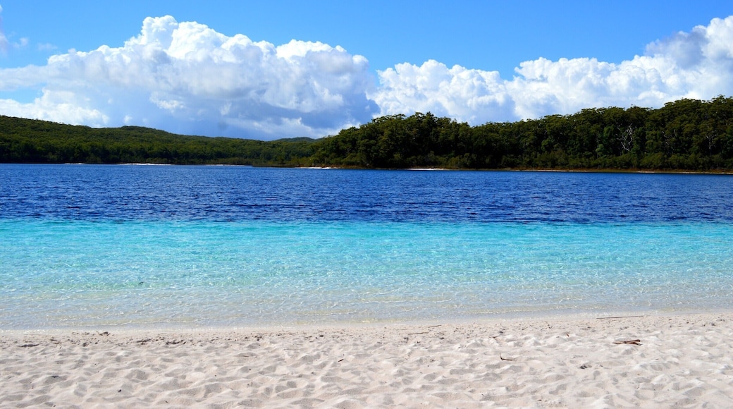 This is probably the best place I have been to in the world.
It is a 'Natural Beauty Salon'.
Rated as one of the WORLDs TOP 10 MUST SWIM IN LAKES. A pretty fancy title for a little island atoll just off Queensland’s sunshine coast. Lake Mackenzie is mind-blowingly beautiful. The pure white sand is so soft and acts as a brilliant exfoliate. The water is cool, fresh, crystal clear, and an array of blues. The dark blue section of the lake is extremely deep. Lake Mackenzie left its mark on both our memories and physically by conditioning our hair and leaving our skin silky smooth. It is truly natures Beauty Salon.
Read more on Fraser here ...https://www.facebook.com/4pairsofItchyFeet/posts/1059271060810581