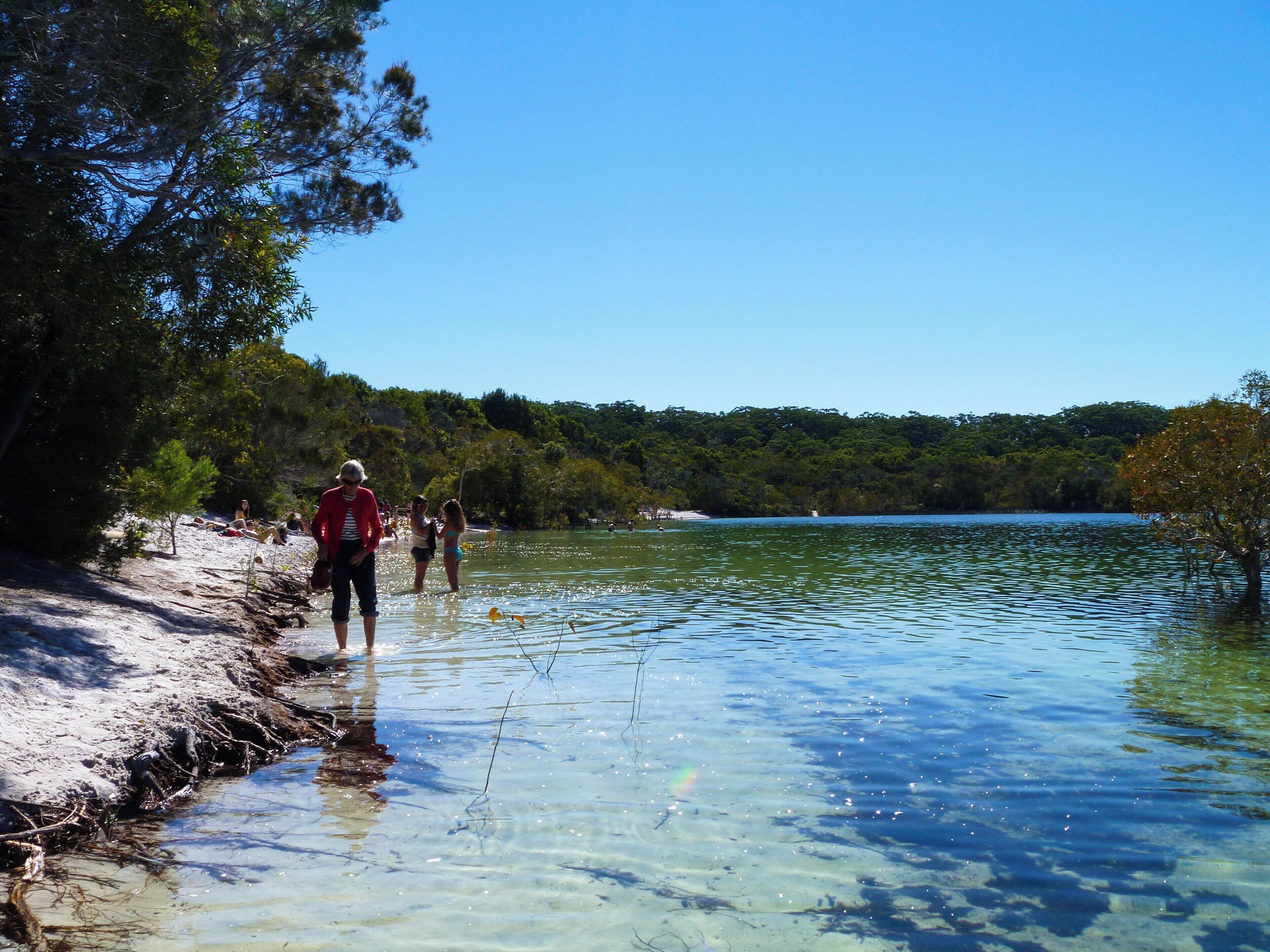 Make sure to visit Lake Mckenzie while in Fraser Island, for a refreshing swim in the crystal clear waters. Hire a 4x4 and drive yourself, or go on a 4x4 tour.
#lifeatexpedia #beaches