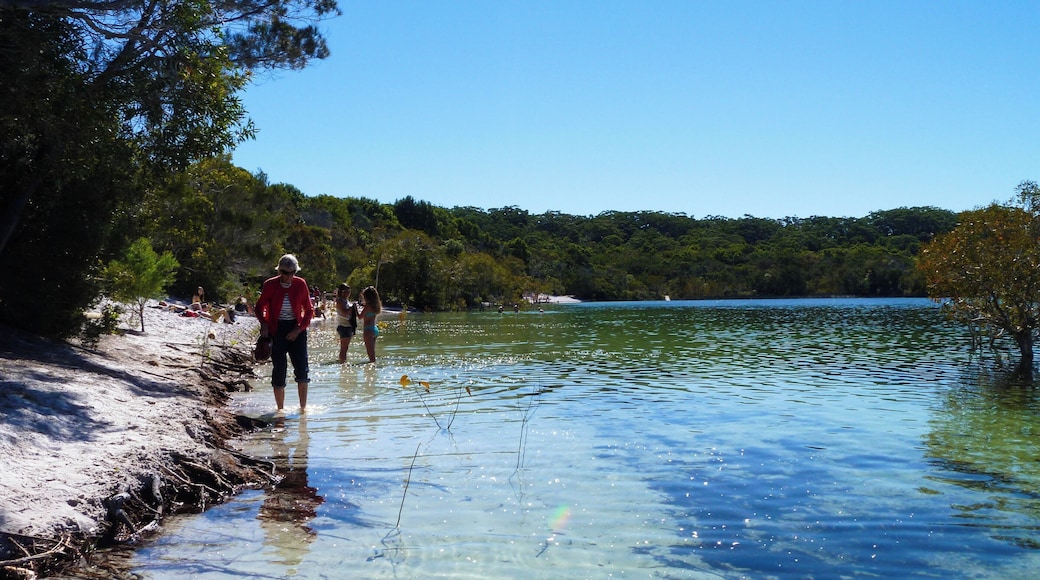 Make sure to visit Lake Mckenzie while in Fraser Island, for a refreshing swim in the crystal clear waters. Hire a 4x4 and drive yourself, or go on a 4x4 tour.
#lifeatexpedia #beaches