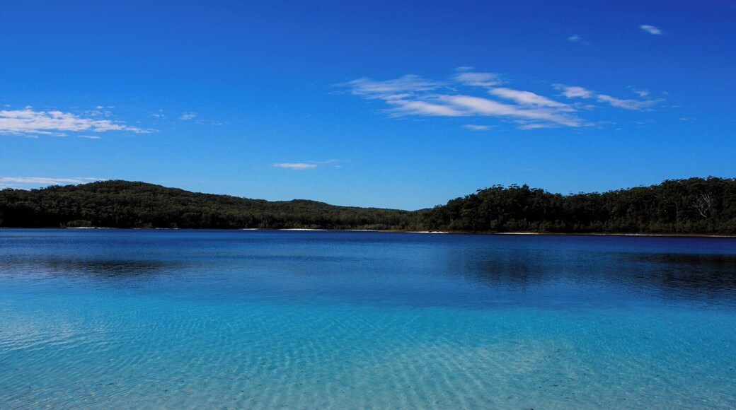 Fraser Islands biggest lake - Lake McKenzie. The sand is pure white and the water so fresh that many species of fish can't live in it - it's too pure! #NationalPark #Waterlust