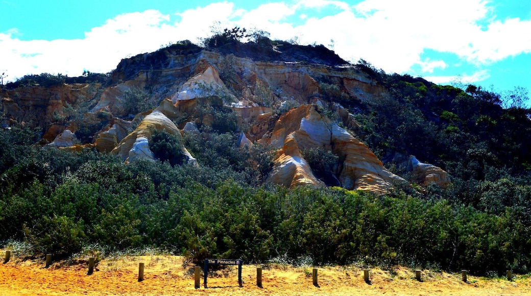 The Pinnacles are not far from the shipwreck and are a very popular tourist attraction. In my opinion, the coloured sand dunes are not as impressive as Rainbow beach but that is up to the viewers discretion.