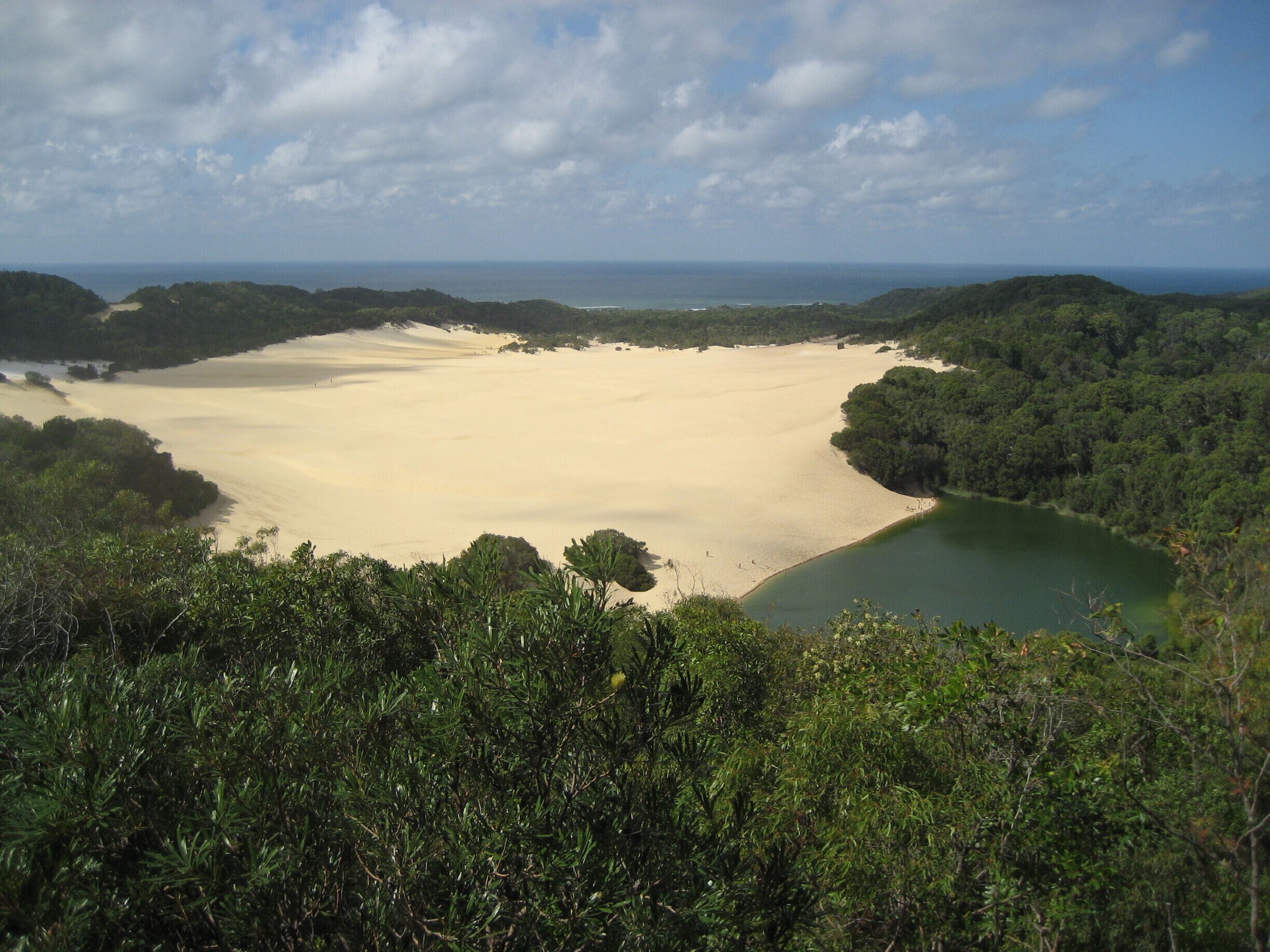 Even though it's a sand island it's quite lush #nationalpark