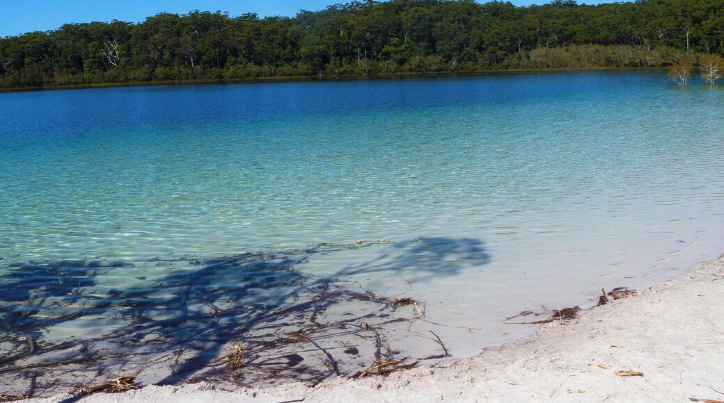 Make sure to visit Lake Mckenzie while in Fraser Island, for a refreshing swim in the crystal clear waters. Hire a 4x4 and drive yourself, or go on a 4x4 tour.
#lifeatexpedia #beaches