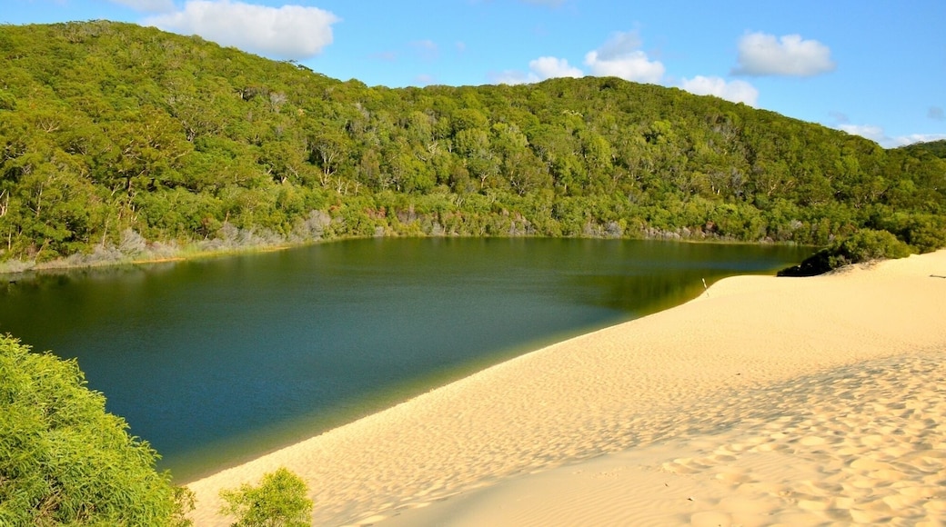 A freshwater lake on Fraser Island (Australia), the worlds largest sand island.
It’s 2.5 km walk through bushland from the beach to get to lake wabby. And it’s great to jump in after the hike. So refreshing :)
Be there early in the morning and you’ll get the lake by your self.