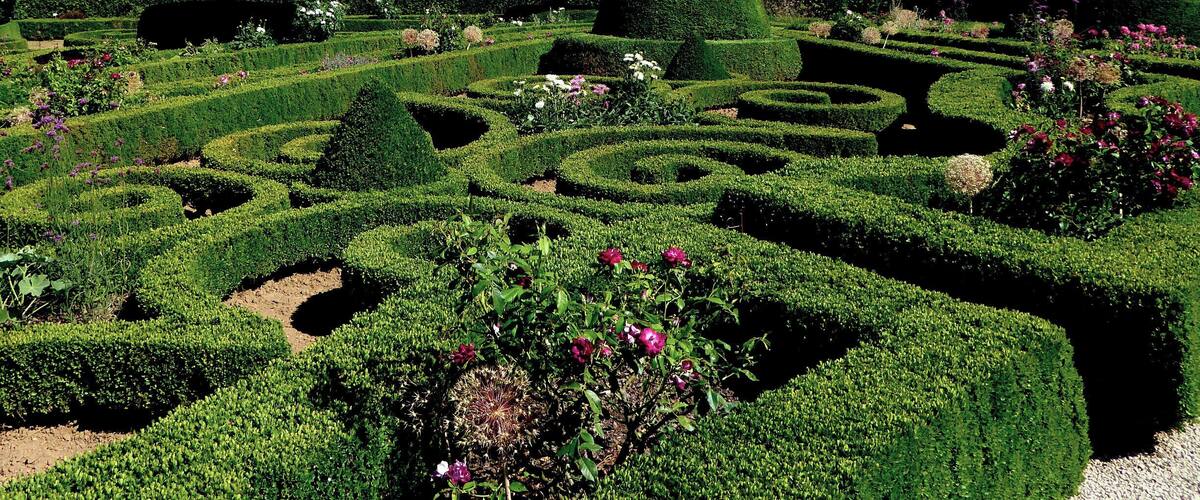 A meticulously landscaped garden with geometric hedges, spherical topiary, and vibrant flower beds.