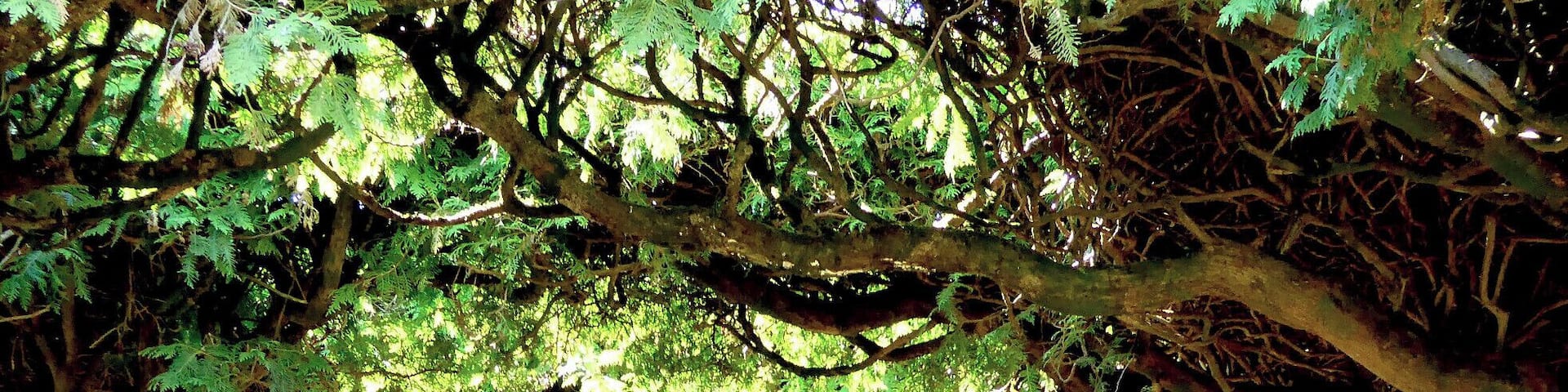The Chateau de Hautefort has been beautifully restored inside, but it's outside in the garden that you'll see the most beauty.