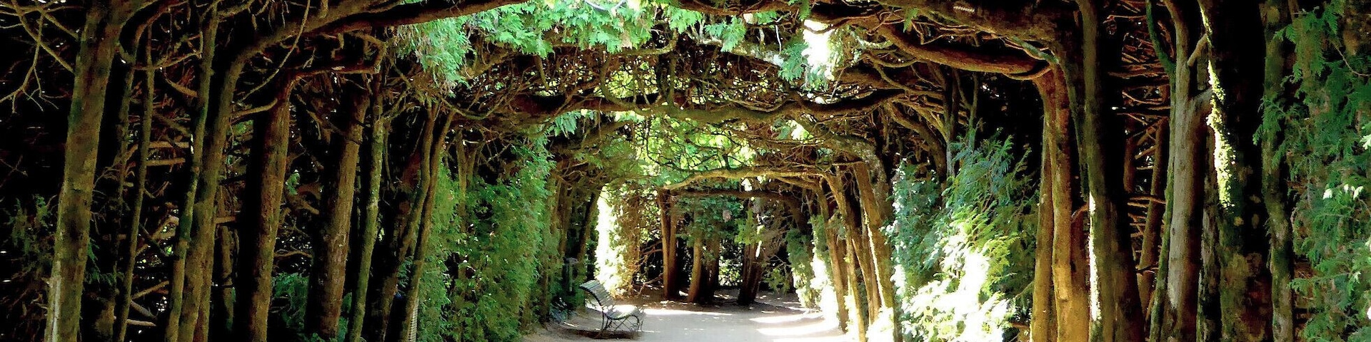 The Chateau de Hautefort has been beautifully restored inside, but it's outside in the garden that you'll see the most beauty.