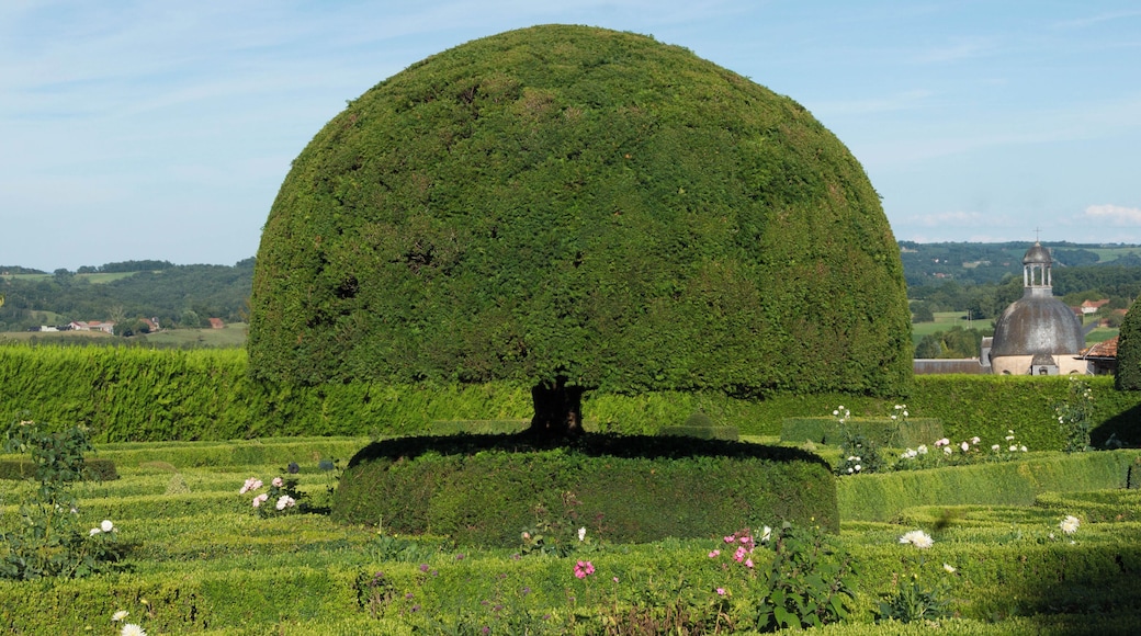 A yew tree Taxus Baccata, topiary in the gardens of Château de Hautefort. In background, a part of the Hospital. Dordogne, France.