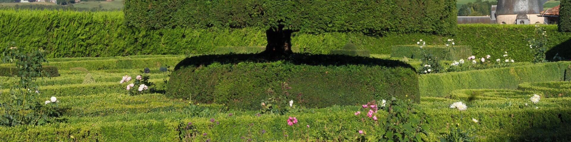 A yew tree Taxus Baccata, topiary in the gardens of Château de Hautefort. In background, a part of the Hospital. Dordogne, France.