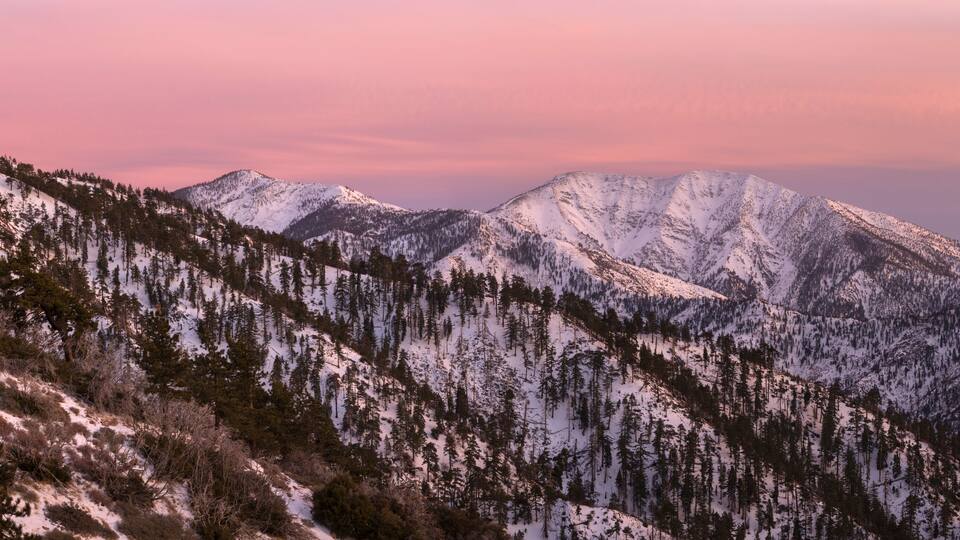 A snow-covered mountain range with dense forests.