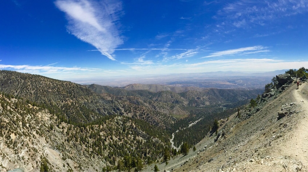 The coolest part of the amount Baldy hike - Devil's backbone #hikingtheglobe
