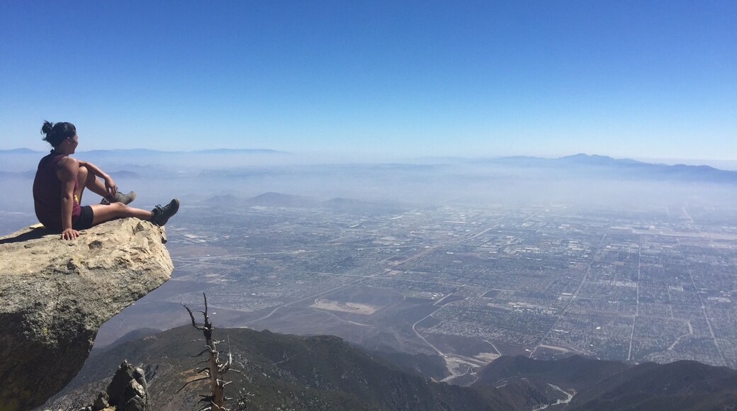 8,857 ft later at Cucamonga Peak. First hike of the 6 Peak Challenge I finished ⛰
