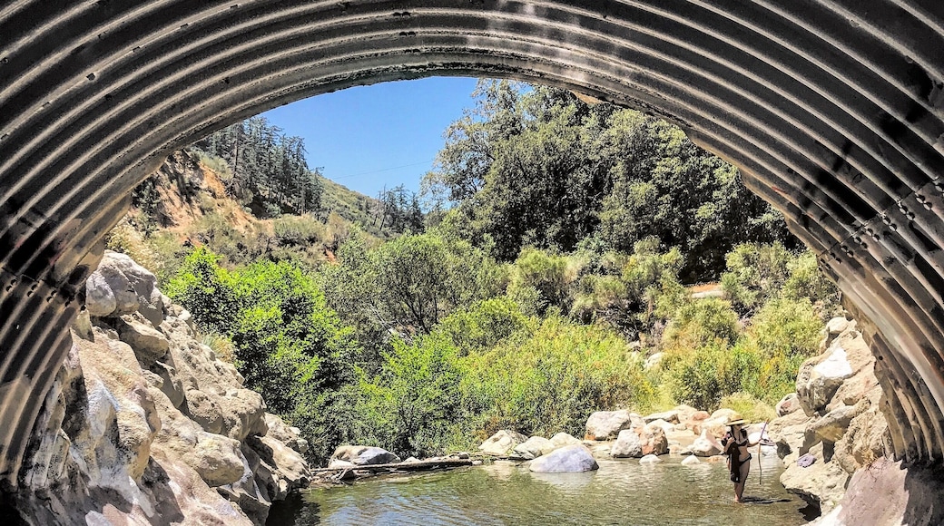 My favorite swimming hole.