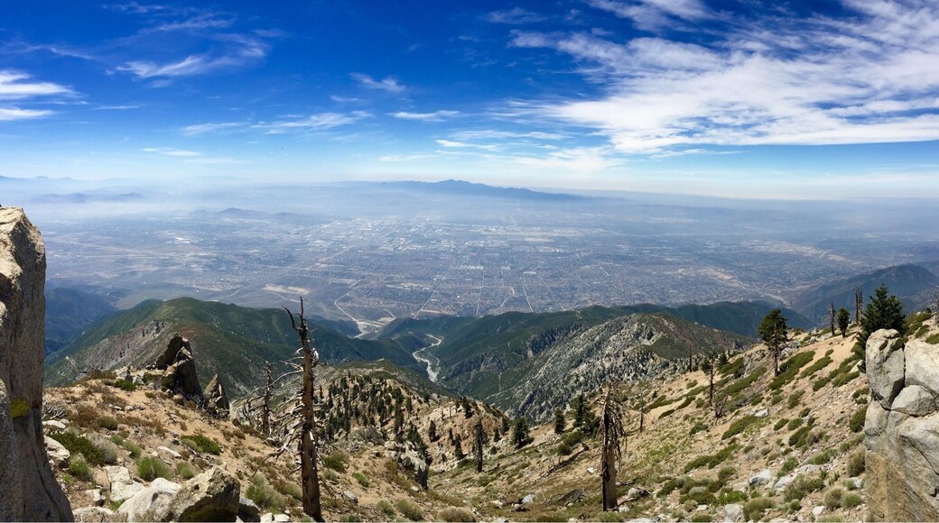 Cucamonga Peak, California