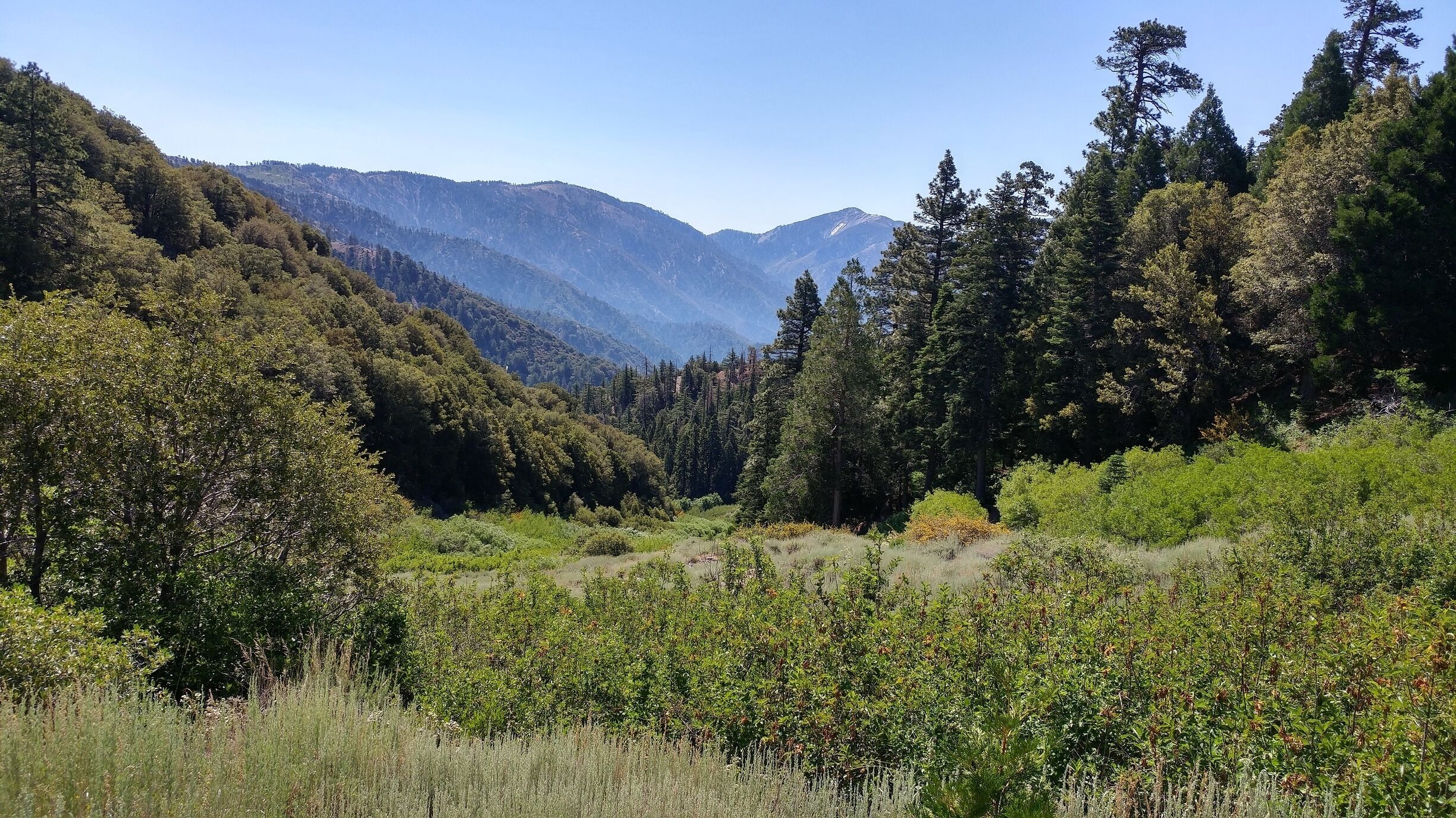 This is Vincent gap head down mine mulch trail. Beautiful and green in this valley year round.