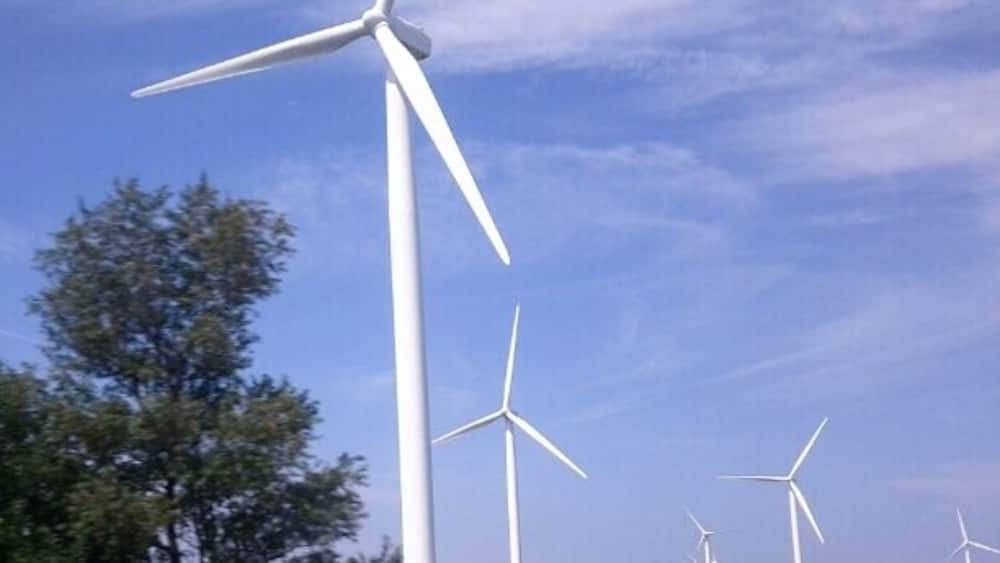 Wind turbines in a field with a clear sky.